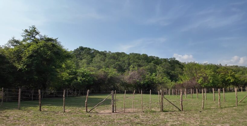 - El Salvador Realty