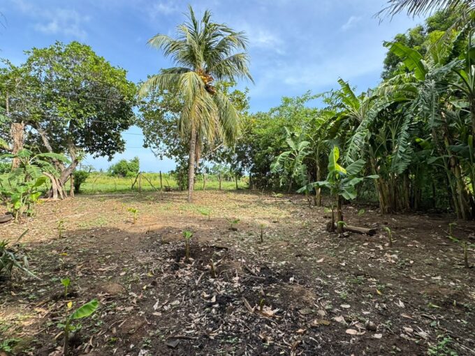 - El Salvador Realty