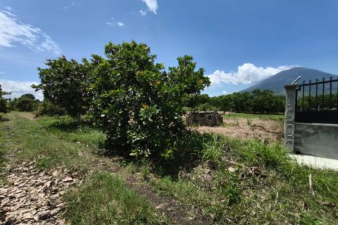 - El Salvador Realty