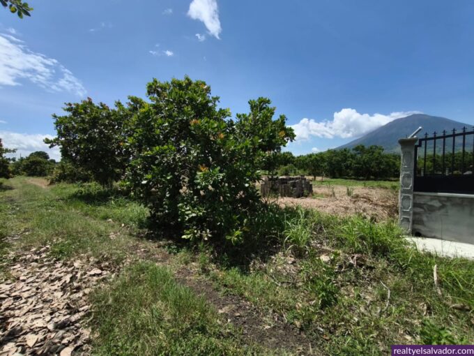 - El Salvador Realty