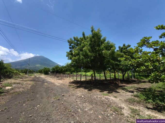 - El Salvador Realty