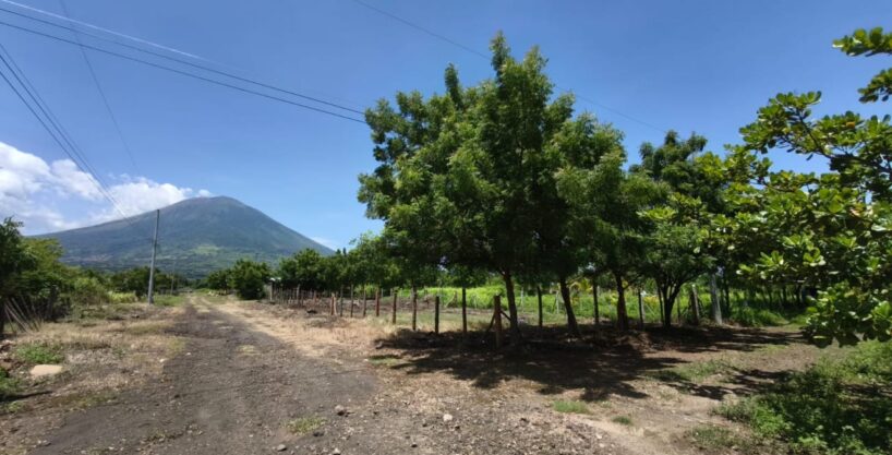 - El Salvador Realty
