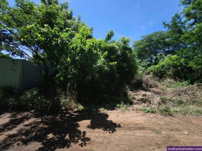 - El Salvador Realty