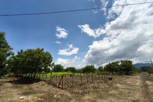 - El Salvador Realty