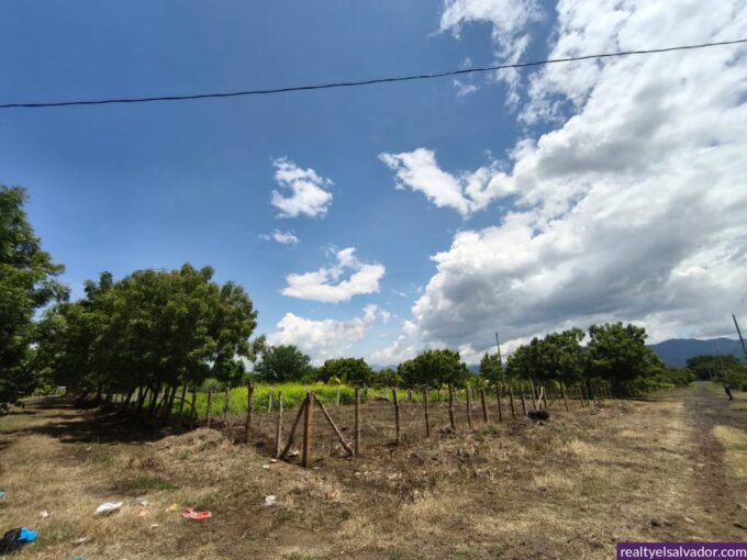 - El Salvador Realty