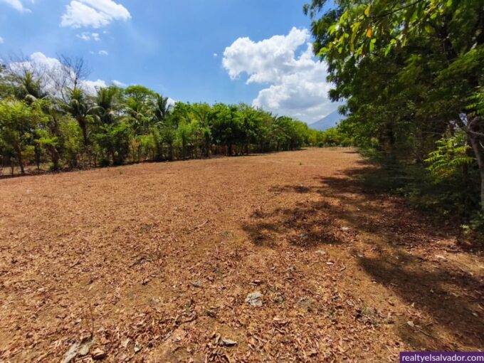 - El Salvador Realty