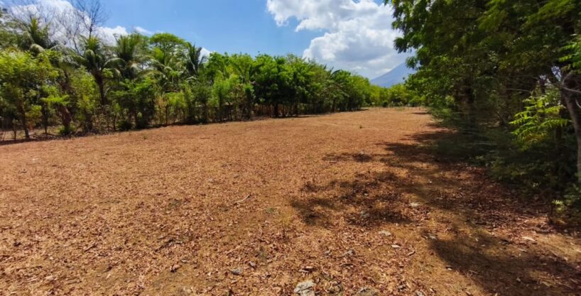 - El Salvador Realty