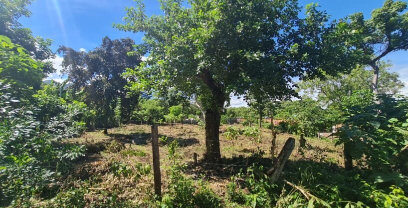 - El Salvador Realty