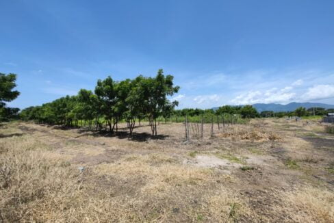 - El Salvador Realty