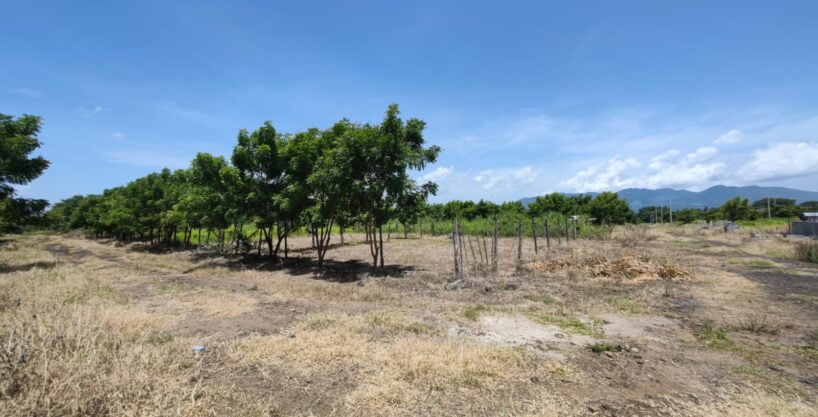- El Salvador Realty