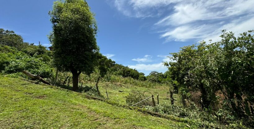 - El Salvador Realty