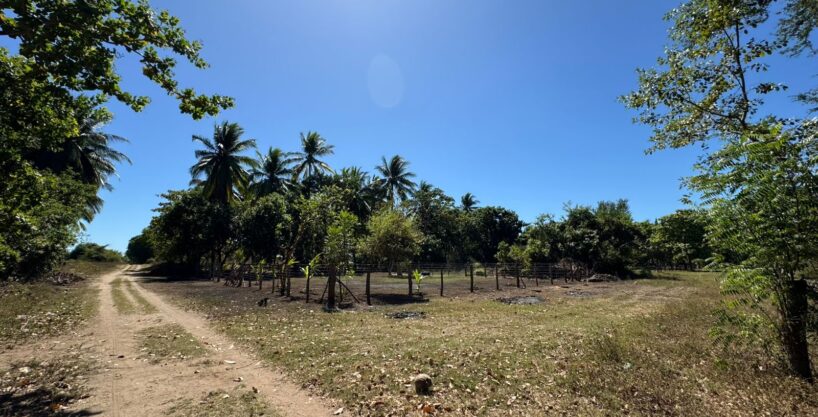 - El Salvador Realty