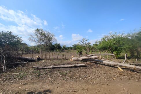 - El Salvador Realty