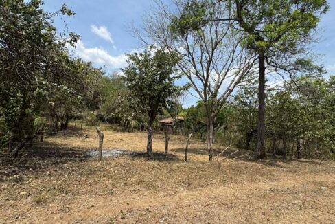 - El Salvador Realty